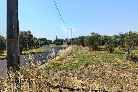 Helårsgrund i Campo Maior, Portalegre, Campo Maior - € 33.800 | Ref: 061643 - foto 12