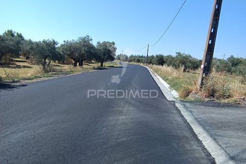 Helårsgrund i Campo Maior, Portalegre, Campo Maior - € 33.800 | Ref: 061643 - foto 16