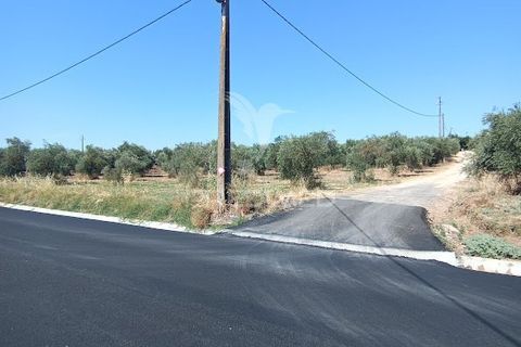 Helårsgrund i Campo Maior, Portalegre, Campo Maior - € 33.800 | Ref: 061643 - foto 18