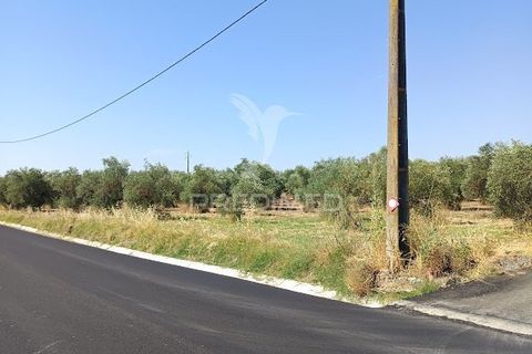 Helårsgrund i Campo Maior, Portalegre, Campo Maior - € 33.800 | Ref: 061643 - foto 25
