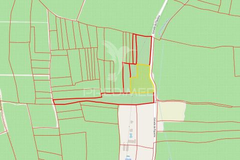 Helårsgrund i Campo Maior, Portalegre, Campo Maior - € 33.800 | Ref: 061643 - foto 5
