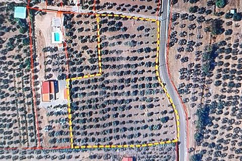 Helårsgrund i Campo Maior, Portalegre, Campo Maior - € 33.800 | Ref: 061643 - foto 14