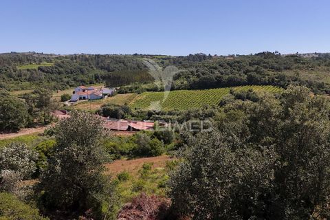 Farm hus i Alenquer, Lisbon, Alenquer - € 200.000 | Ref: 061467 - foto 14