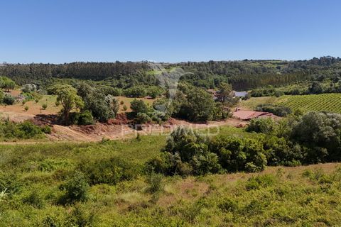 Farm hus i Alenquer, Lisbon, Alenquer - € 200.000 | Ref: 061467 - foto 15