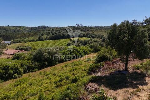 Farm hus i Alenquer, Lisbon, Alenquer - € 200.000 | Ref: 061467 - foto 16