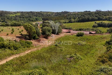 Farm hus i Alenquer, Lisbon, Alenquer - € 200.000 | Ref: 061467 - foto 17