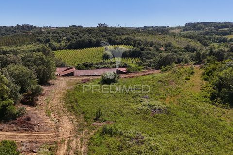 Farm hus i Alenquer, Lisbon, Alenquer - € 200.000 | Ref: 061467 - foto 20