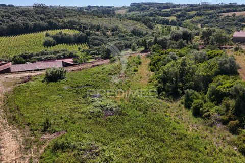 Farm hus i Alenquer, Lisbon, Alenquer - € 200.000 | Ref: 061467 - foto 23