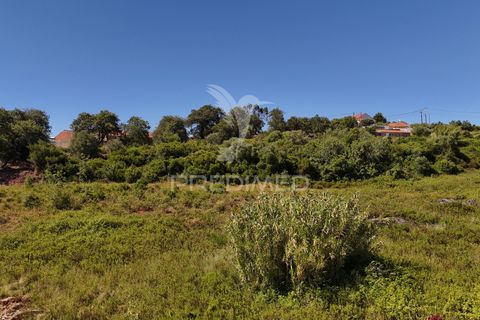 Farm hus i Alenquer, Lisbon, Alenquer - € 200.000 | Ref: 061467 - foto 25