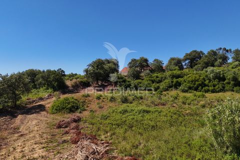Farm hus i Alenquer, Lisbon, Alenquer - € 200.000 | Ref: 061467 - foto 26