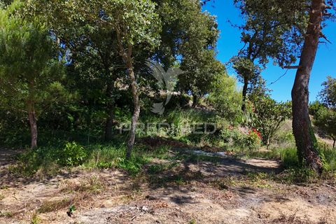 Farm hus i Alenquer, Lisbon, Alenquer - € 200.000 | Ref: 061467 - foto 29