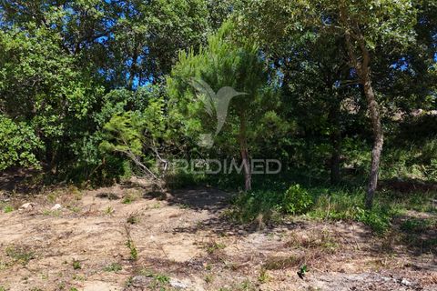 Farm hus i Alenquer, Lisbon, Alenquer - € 200.000 | Ref: 061467 - foto 30