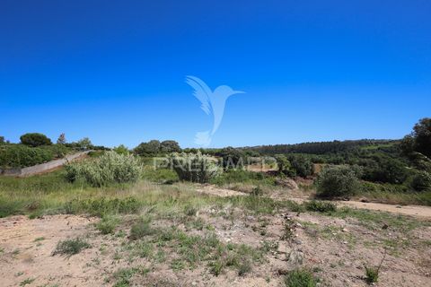 Farm hus i Alenquer, Lisbon, Alenquer - € 200.000 | Ref: 061467 - foto 31