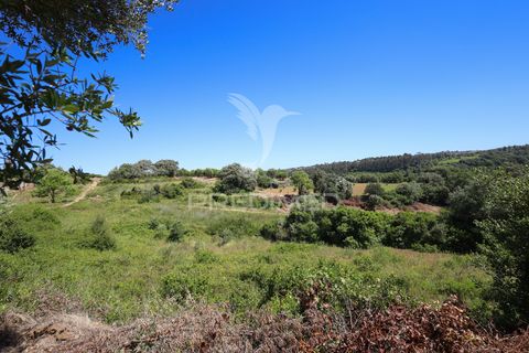 Farm hus i Alenquer, Lisbon, Alenquer - € 200.000 | Ref: 061467 - foto 37