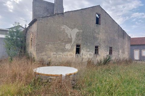 Byhus i Oliveira do Bairro, Aveiro, Oliveira do Bairro - € 90.000 | Ref: 061677 - foto 3