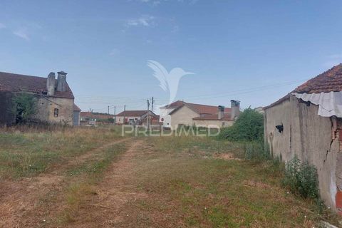 Byhus i Oliveira do Bairro, Aveiro, Oliveira do Bairro - € 90.000 | Ref: 061677 - foto 9