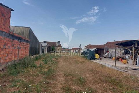 Byhus i Oliveira do Bairro, Aveiro, Oliveira do Bairro - € 90.000 | Ref: 061677 - foto 10