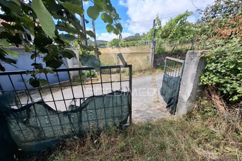 Helårsgrund i Vila Verde, Braga, Vila Verde - € 39.000 | Ref: 061660 - foto 26