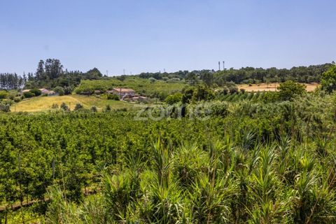 Villa i Alcobaca, Leiria, Alcobaca - € 315.000 | Ref: ZMPT590688 - foto 7