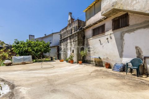 Villa i Alcobaca, Leiria, Alcobaca - € 315.000 | Ref: ZMPT590688 - foto 16