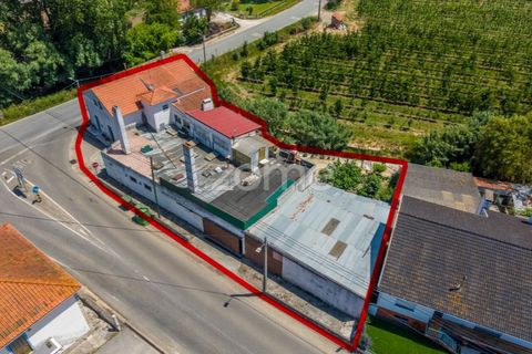 Villa i Alcobaca, Leiria, Alcobaca - € 315.000 | Ref: ZMPT590688 - foto 21