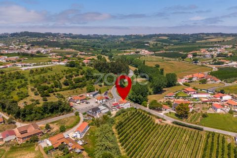 Villa i Alcobaca, Leiria, Alcobaca - € 315.000 | Ref: ZMPT590688 - foto 22