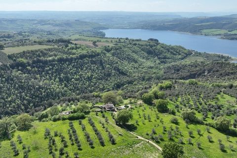 Villa a Baschi, Terni, Baschi - € 490.000 | Ref: CIVITELLA05-1 - foto 38