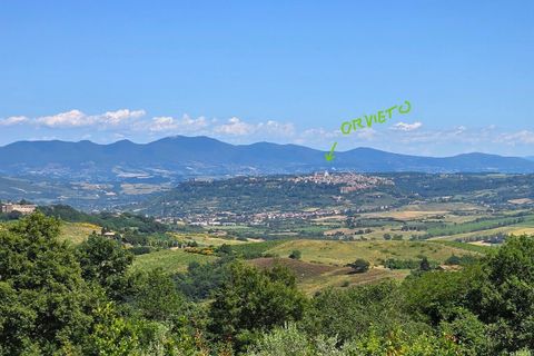 Villa a Castel Viscardo, Terni, Castel Viscardo - € 1.100.000 | Ref: CastelViscardo01 - foto 10