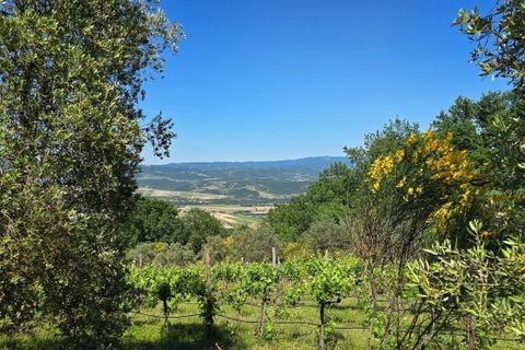 Villa a Castel Viscardo, Terni, Castel Viscardo - € 1.100.000 | Ref: CastelViscardo01 - foto 22