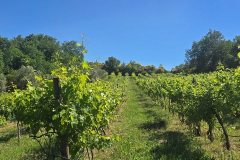 Villa a Castel Viscardo, Terni, Castel Viscardo - € 1.100.000 | Ref: CastelViscardo01 - foto 34