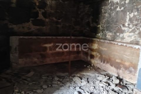 Villa i Carregal do Sal, Viseu, Carregal do Sal - € 32.500 | Ref: ZMPT590636 - foto 3