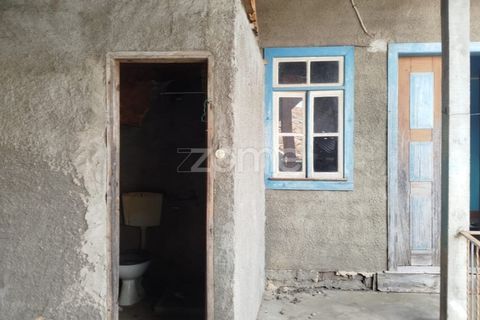 Villa i Carregal do Sal, Viseu, Carregal do Sal - € 32.500 | Ref: ZMPT590636 - foto 15
