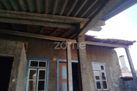 Villa i Carregal do Sal, Viseu, Carregal do Sal - € 32.500 | Ref: ZMPT590636 - foto 16