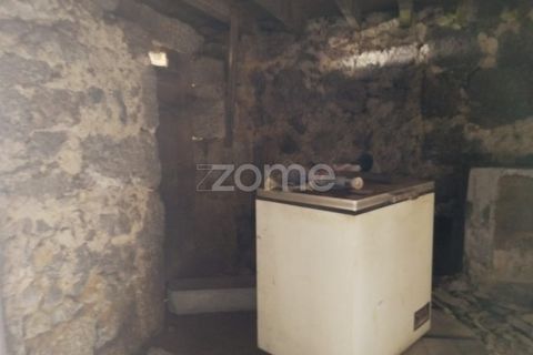 Villa i Carregal do Sal, Viseu, Carregal do Sal - € 32.500 | Ref: ZMPT590636 - foto 26
