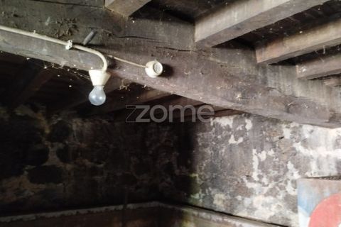 Villa i Carregal do Sal, Viseu, Carregal do Sal - € 32.500 | Ref: ZMPT590636 - foto 27