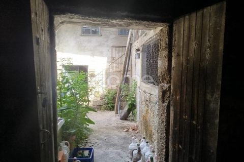 Villa i Carregal do Sal, Viseu, Carregal do Sal - € 32.500 | Ref: ZMPT590636 - foto 29