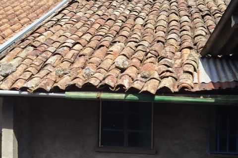 Villa i Carregal do Sal, Viseu, Carregal do Sal - € 32.500 | Ref: ZMPT590636 - foto 41