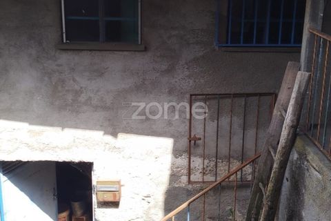 Villa i Carregal do Sal, Viseu, Carregal do Sal - € 32.500 | Ref: ZMPT590636 - foto 42