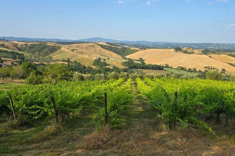 Villa a Allerona, Terni, Allerona - € 2.100.000 | Ref: ALLERONA02-1-1 - foto 50