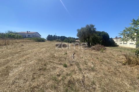 Helårsgrund i Lavos, Coimbra, Lavos - € 67.500 | Ref: ZMPT590615 - foto 3
