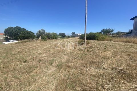 Helårsgrund i Lavos, Coimbra, Lavos - € 67.500 | Ref: ZMPT590615 - foto 5