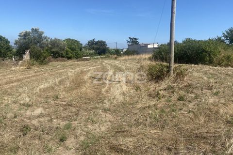 Helårsgrund i Lavos, Coimbra, Lavos - € 67.500 | Ref: ZMPT590615 - foto 6