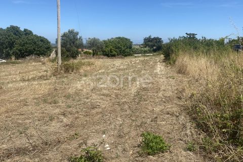 Helårsgrund i Lavos, Coimbra, Lavos - € 67.500 | Ref: ZMPT590615 - foto 7