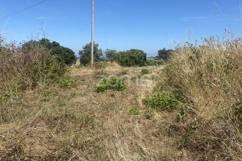 Helårsgrund i Lavos, Coimbra, Lavos - € 67.500 | Ref: ZMPT590615 - foto 9