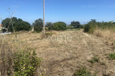 Helårsgrund i Lavos, Coimbra, Lavos - € 67.500 | Ref: ZMPT590615 - foto 11