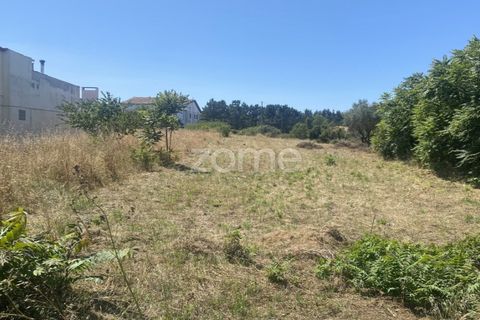 Helårsgrund i Lavos, Coimbra, Lavos - € 67.500 | Ref: ZMPT590615 - foto 12