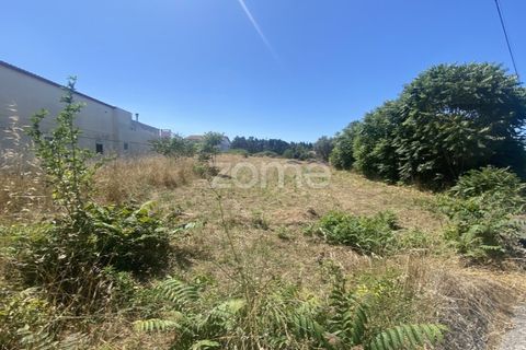 Helårsgrund i Lavos, Coimbra, Lavos - € 67.500 | Ref: ZMPT590615 - foto 13