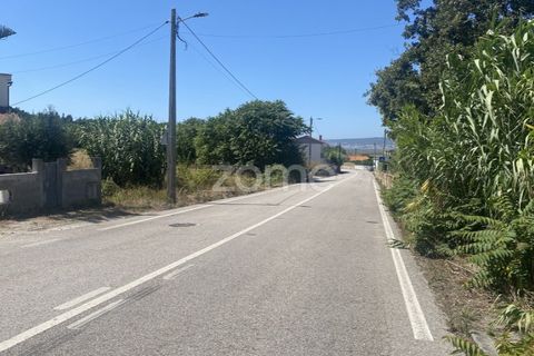 Helårsgrund i Lavos, Coimbra, Lavos - € 67.500 | Ref: ZMPT590615 - foto 14
