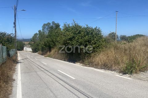 Helårsgrund i Lavos, Coimbra, Lavos - € 67.500 | Ref: ZMPT590615 - foto 16