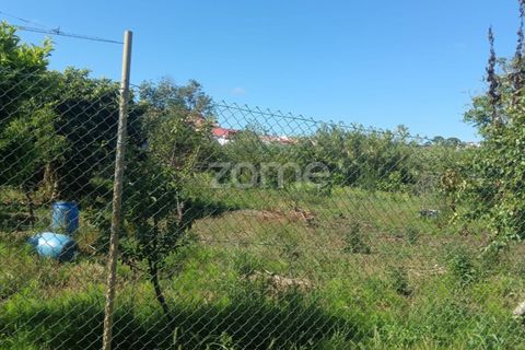 Tomt i Tavarede, Coimbra, Tavarede - € 39 000 | Ref: ZMPT590473 - foto 12